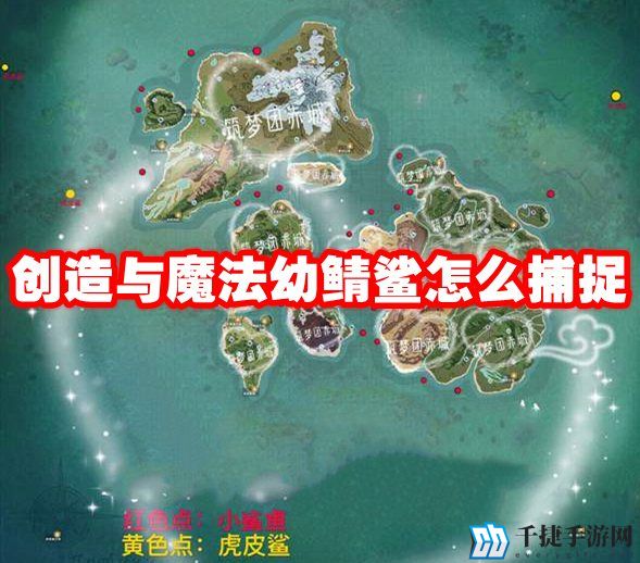 创造与魔法幼鲭鲨怎么捕捉