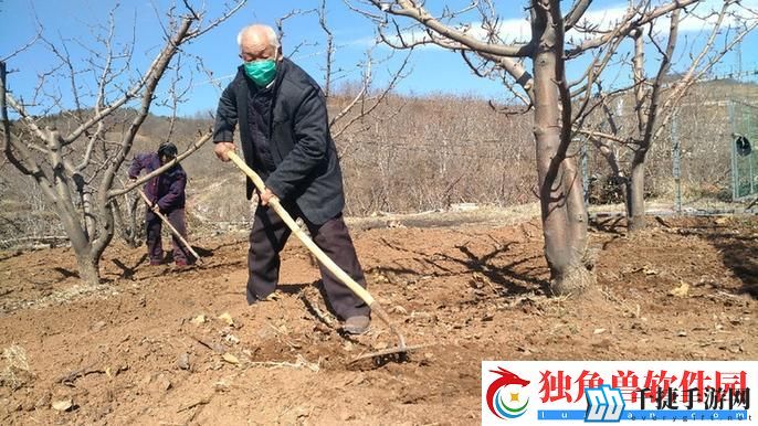 耕田新潮流：儿承父业-网友热议下的田土能量